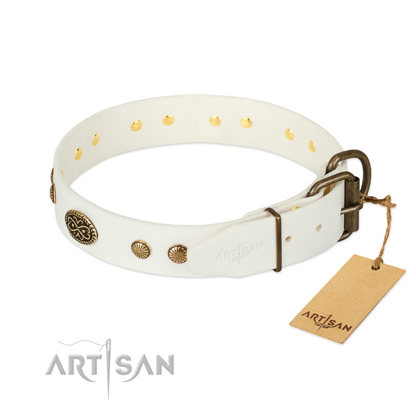 Corrosion proof adornments on full grain genuine leather dog collar for your four-legged friend