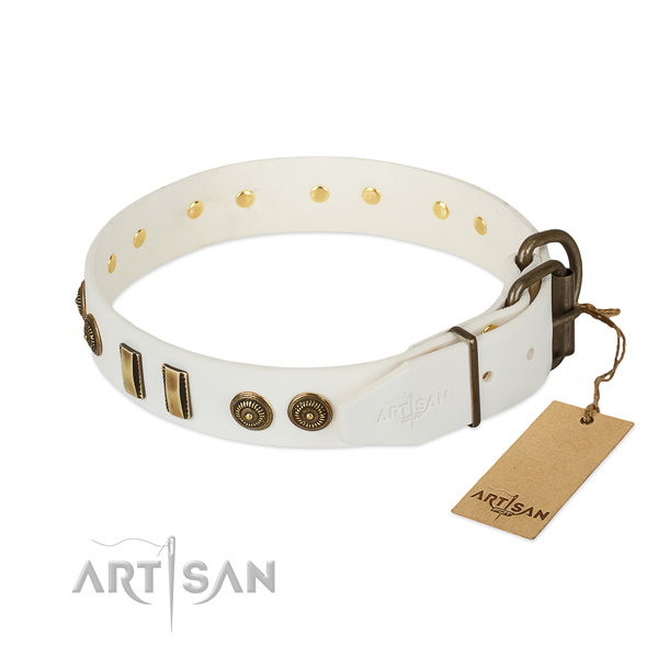 Reliable embellishments on full grain natural leather dog collar for your pet