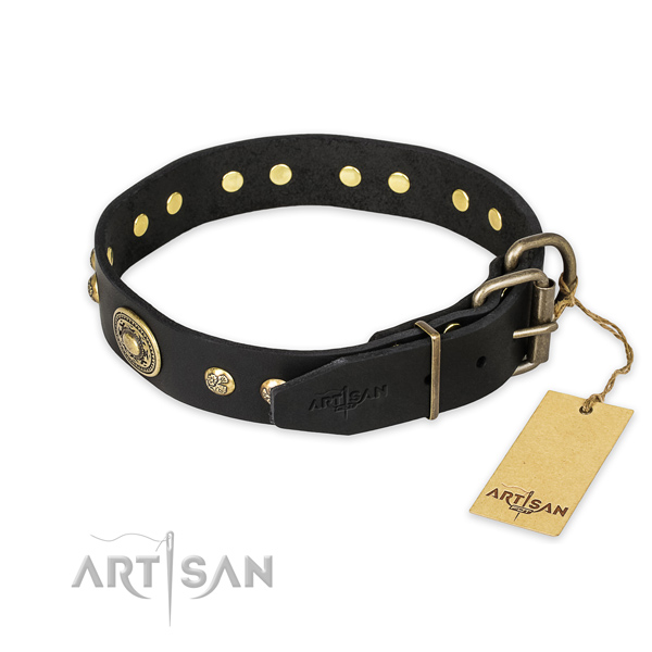 Rust-proof hardware on full grain genuine leather collar for everyday walking your pet