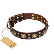 "Flower Melody" FDT Artisan Brown Leather Central Asian Shepherd Collar with Mixed Studs