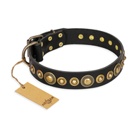 "Gold Mine" FDT Artisan Black Leather Central Asian Shepherd Collar with Amazing Bronze-Plated Round Studs