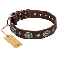 "Extra Pizzazz" FDT Artisan Adorned Brown Leather Central Asian Shepherd Collar
