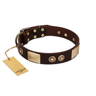 "Sense of Freedom" FDT Artisan Brown Leather Central Asian Shepherd Collar with Old Bronze-Plated Studs and Plates