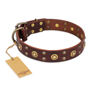 "Caprice of Fashion" FDT Artisan Brown Leather Central Asian Shepherd Collar with Round Decorations