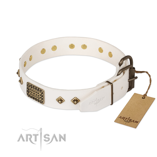 Full grain genuine leather dog collar with durable traditional buckle and embellishments
