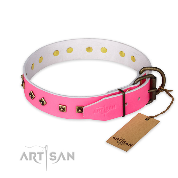 Rust resistant buckle on natural leather collar for walking your dog