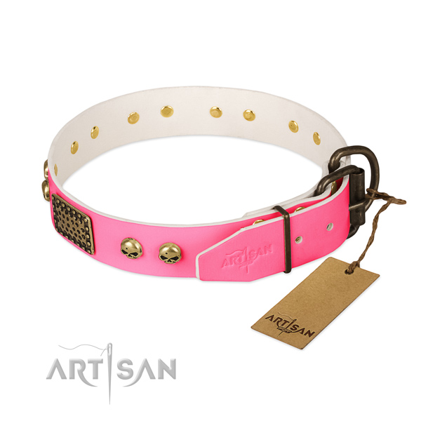 Rust-proof hardware on everyday use dog collar