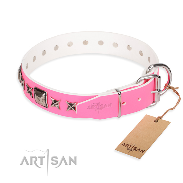 Top notch embellished dog collar of natural leather