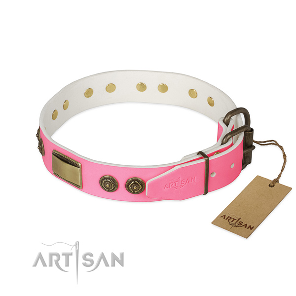 Strong studs on daily use dog collar