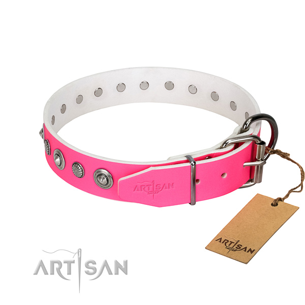 Top notch genuine leather dog collar with impressive embellishments