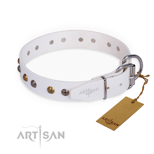 Full grain natural leather dog collar with remarkable rust resistant studs