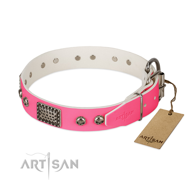 Rust resistant D-ring on walking dog collar