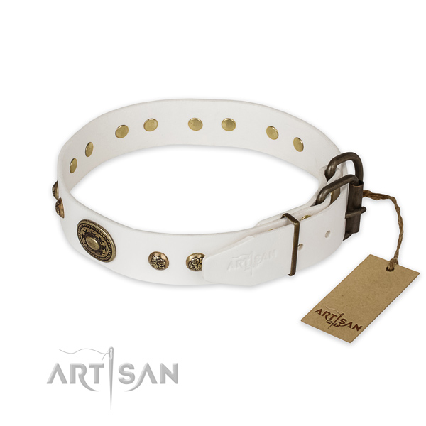 Reliable traditional buckle on full grain genuine leather collar for daily walking your pet
