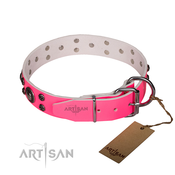 Everyday use studded dog collar of strong full grain genuine leather