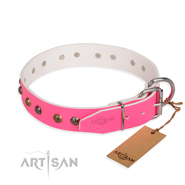 Full grain leather dog collar with trendy rust resistant studs