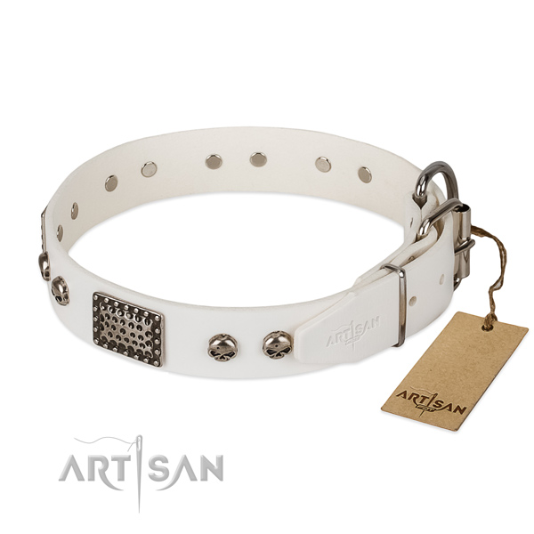 Corrosion resistant D-ring on comfy wearing dog collar