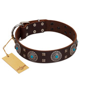 "Hypnotic Stones" FDT Artisan Brown Leather Central Asian Shepherd Collar with Chrome Plated Brooches and Square Studs