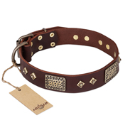"Loving Owner" FDT Artisan Decorated Leather Central Asian Shepherd Collar with Plates and Studs
