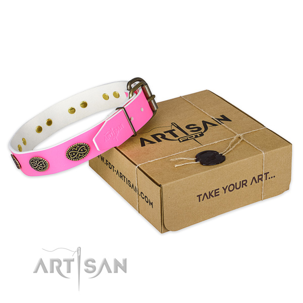 Corrosion proof studs on dog collar for daily walking