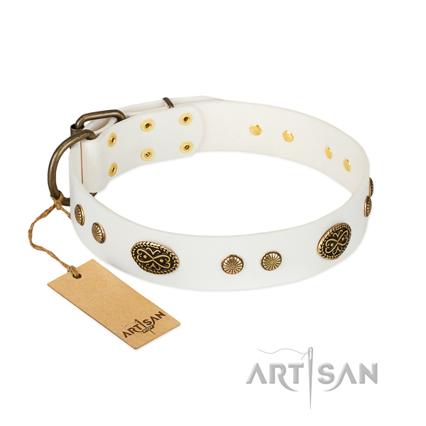 Rust-proof studs on full grain natural leather dog collar for your canine