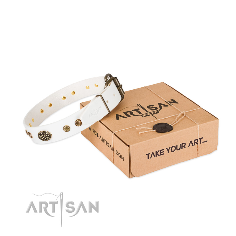 Strong embellishments on leather dog collar for your four-legged friend