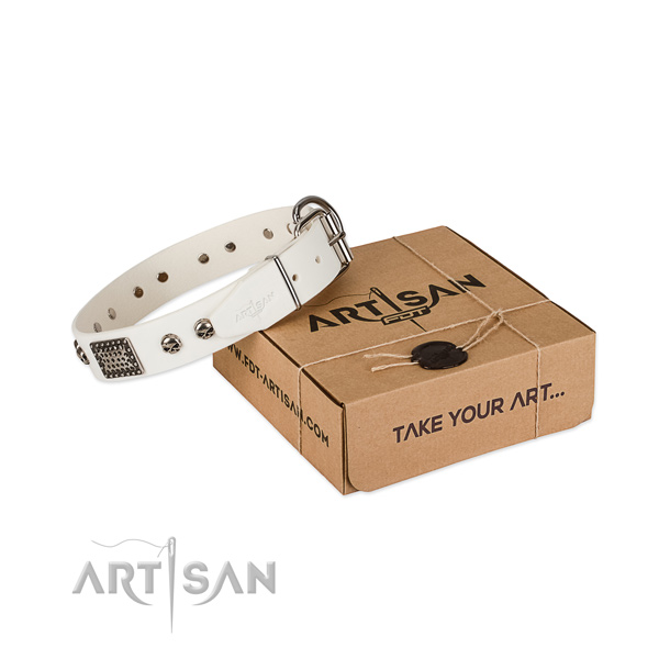 Corrosion resistant buckle on dog collar for walking