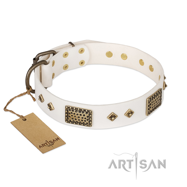 Designer leather dog collar for stylish walking