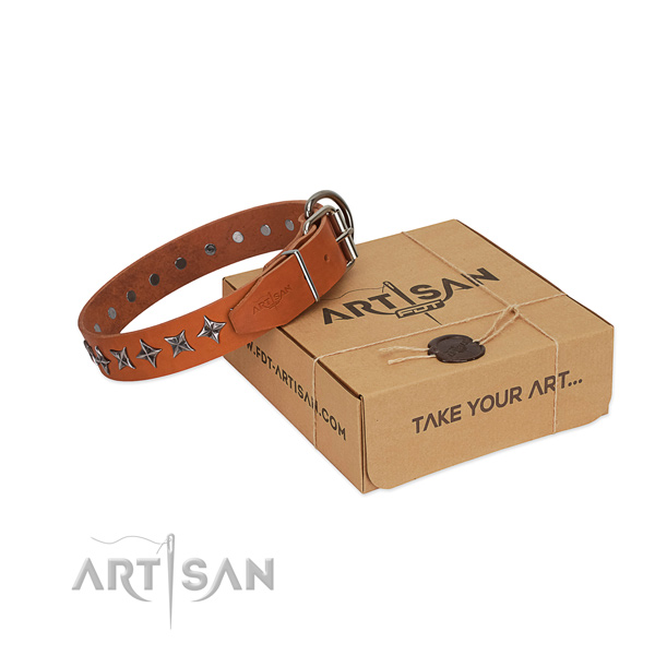 Quality genuine leather dog collar with remarkable embellishments