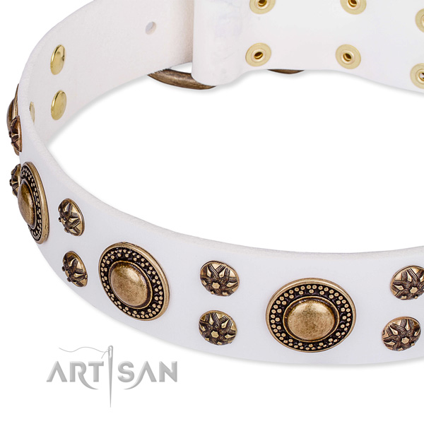 Daily use adorned dog collar of top quality leather