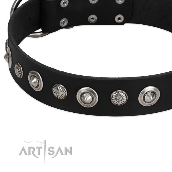 Trendy studded dog collar of quality full grain natural leather