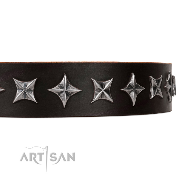 Fancy walking adorned dog collar of durable full grain leather