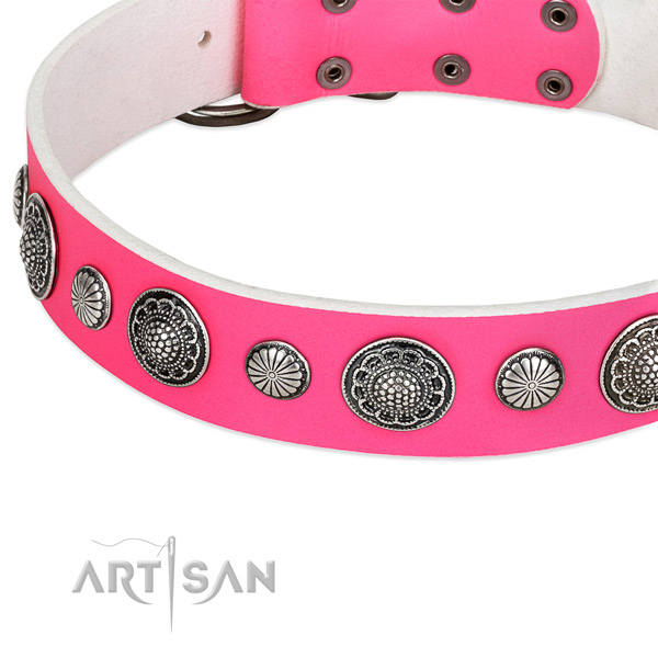 Full grain leather collar with corrosion resistant traditional buckle for your stylish canine