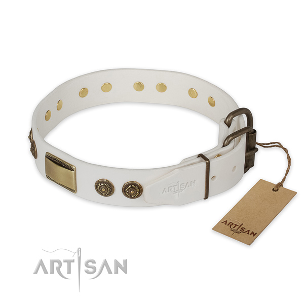 Reliable buckle on leather collar for basic training your canine