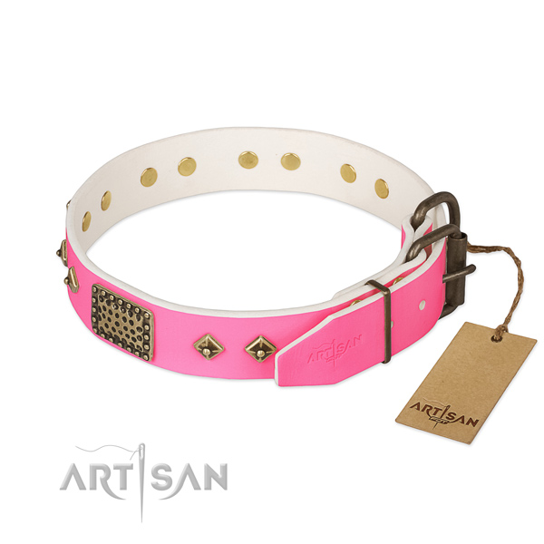 Rust resistant hardware on everyday use dog collar
