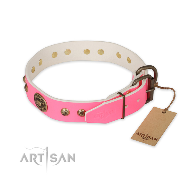 Corrosion proof fittings on full grain natural leather collar for fancy walking your doggie