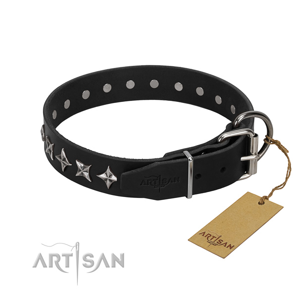 Fancy walking decorated dog collar of fine quality full grain natural leather