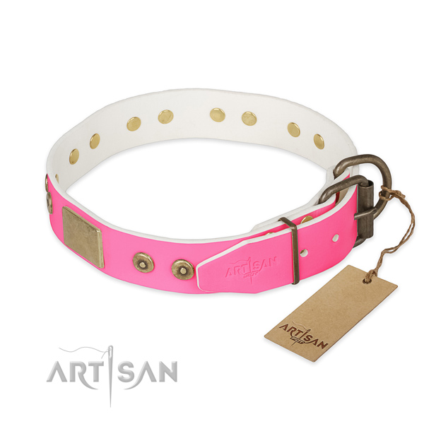 Corrosion proof studs on everyday walking dog collar