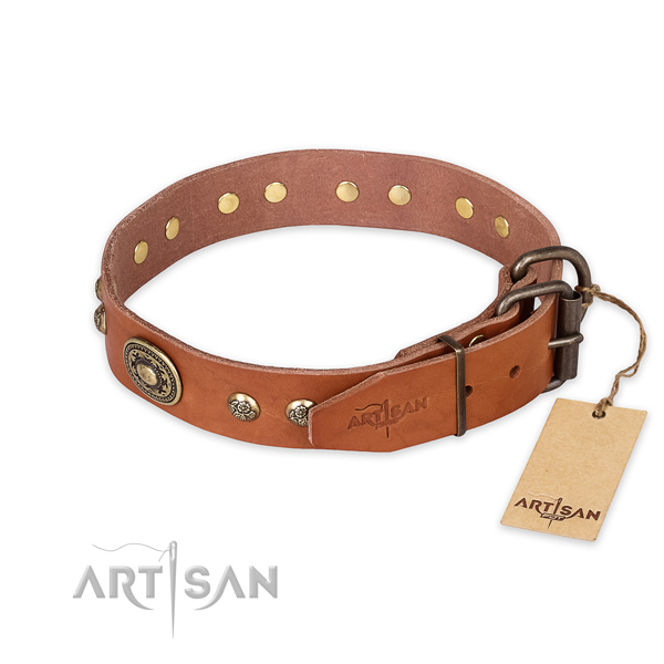 Rust-proof traditional buckle on full grain genuine leather collar for fancy walking your canine