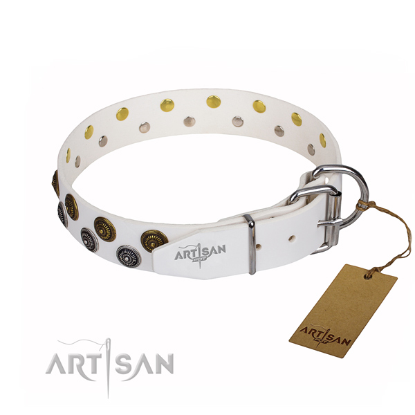 Everyday walking studded dog collar of strong genuine leather