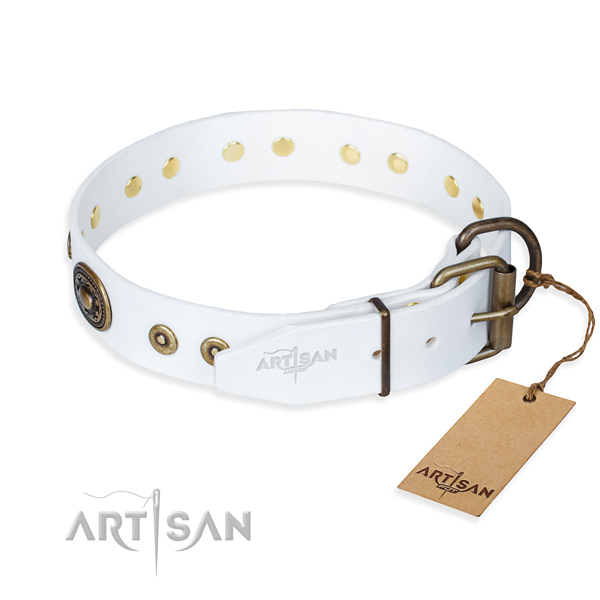 Leather dog collar made of flexible material with reliable embellishments