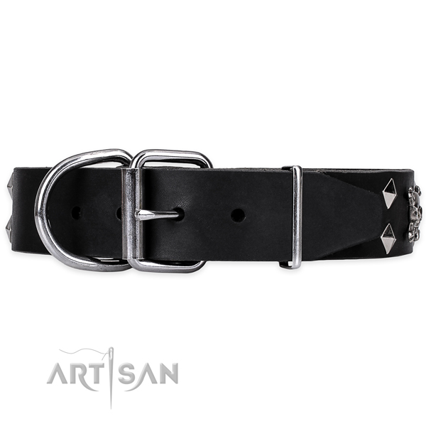 Fancy walking studded dog collar of fine quality full grain genuine leather