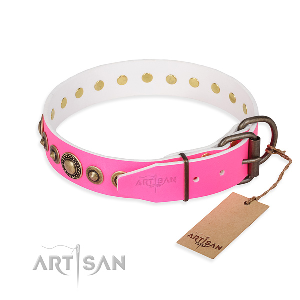 Strong full grain leather dog collar crafted for daily walking