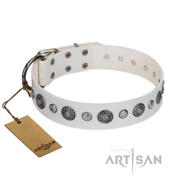 Quality genuine leather dog collar with rust-proof D-ring