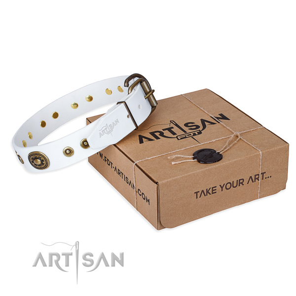 Full grain leather dog collar made of soft to touch material with strong traditional buckle