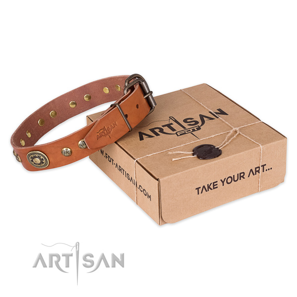 Reliable hardware on natural leather dog collar for handy use