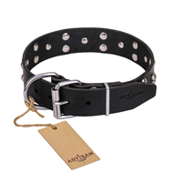 "Mystic Skulls" Decorated Leather Central Asian Shepherd Collar with Skulls and Studs