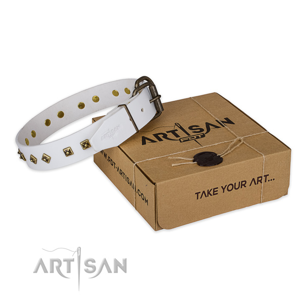 Rust resistant traditional buckle on genuine leather dog collar for comfortable wearing