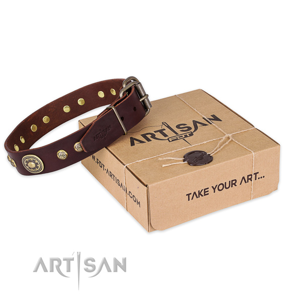 Reliable fittings on leather dog collar for stylish walking