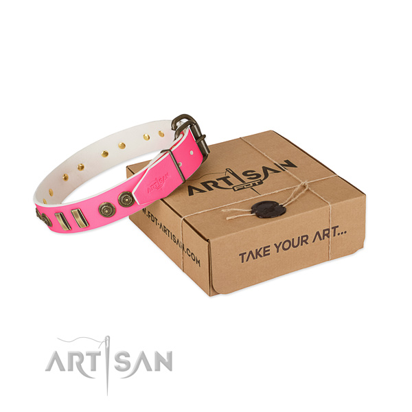 Strong adornments on leather dog collar for your doggie