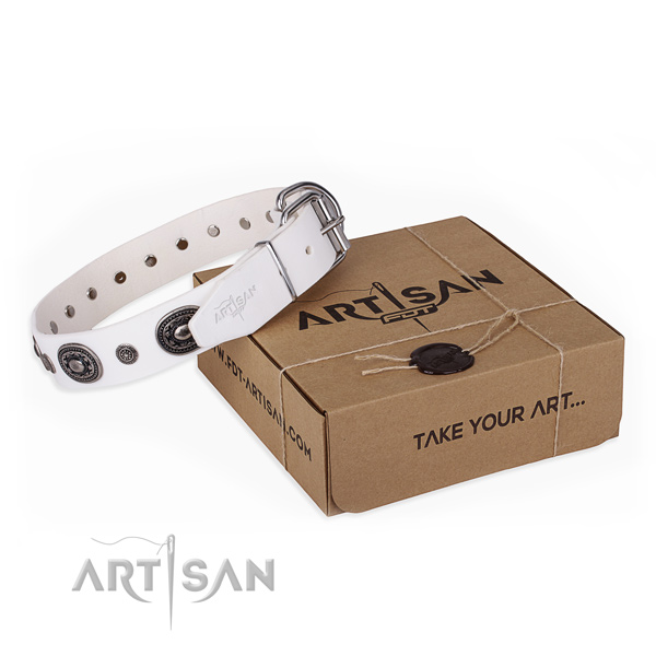 Top notch full grain leather dog collar handcrafted for daily use